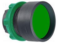 Switch: push-button; 22mm; Stabl.pos: 1; green; none; IP66; concave SCHNEIDER ELECTRIC