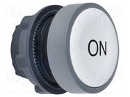 Switch: push-button; 22mm; IP66; flat; Ø22mm; -40÷70°C; Harmony XB5 SCHNEIDER ELECTRIC