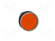 Switch: push-button; 22mm; Stabl.pos: 1; orange; IP66; flat; Pos: 2 SCHNEIDER ELECTRIC