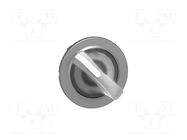 Switch: rotary; 30mm; Stabl.pos: 2; white; ZBVB,ZBVG,ZBVJ,ZBVM SCHNEIDER ELECTRIC