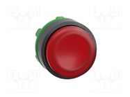 Switch: push-button; 22mm; Stabl.pos: 1; red; ZBVB,ZBVG,ZBVJ,ZBVM SCHNEIDER ELECTRIC