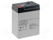 Re-battery: acid-lead; 6V; 5Ah; AGM; maintenance-free; 70x47x101mm 