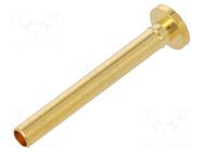Test needle; Ø: 4.2mm; soldered; L: 17.8mm FIXTEST