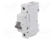 Circuit breaker; 230/400VAC; Inom: 500mA; Poles: 1; Charact: C; 10kA ETI POLAM