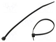 Cable tie; L: 120mm; W: 2.5mm; black; polyamide; 80N; 100pcs; UL94V-2 RADPOL