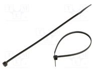 Cable tie; L: 100mm; W: 2.5mm; polyamide; 80N; black; 100pcs; UL94V-2 RADPOL