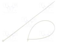 Cable tie; L: 370mm; W: 3.6mm; polyamide; 180N; natural; 100pcs. RADPOL