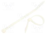 Cable tie; L: 120mm; W: 4.8mm; polyamide; 220N; natural; 100pcs. RADPOL