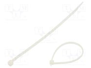 Cable tie; L: 370mm; W: 4.8mm; polyamide; 220N; natural; 100pcs. RADPOL