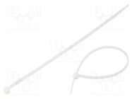 Cable tie; L: 200mm; W: 3.6mm; polyamide; 180N; natural; 100pcs. RADPOL