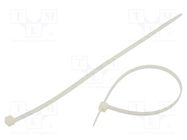 Cable tie; L: 300mm; W: 4.8mm; polyamide; 220N; natural; 100pcs. RADPOL