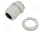 Cable gland; M25; 1.5; IP68; polyamide; grey SCHNEIDER ELECTRIC