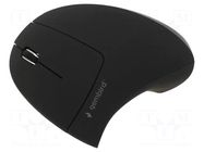 Mouse; black; USB A; wireless,optical; No.of butt: 6; 10m GEMBIRD