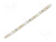 LED tape; white cold; 3528; 12V; LED/m: 60; 8mm; white PCB; IP20 WISVA OPTOELECTRONICS