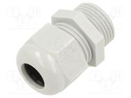 Cable gland; M20; 1.5; IP68; polyamide; grey SCHNEIDER ELECTRIC