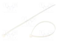 Cable tie; L: 350mm; W: 7.6mm; polyamide; 533N; natural; Ømax: 90mm FIX&FASTEN