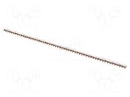 Busbar; Poles: 3; Urated: 415V; 100A; No.of mod: 57; Uinsul: 500V SCHNEIDER ELECTRIC
