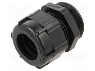 Cable gland; PG29; IP68; polyamide; black BM GROUP