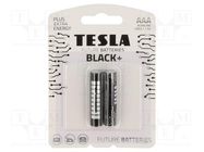 Battery: alkaline; AAA; 1.5V; non-rechargeable; Ø10.5x44.5mm TESLA BATTERIES