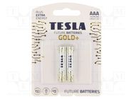 Battery: alkaline; AAA; 1.5V; non-rechargeable; Ø10.5x44.5mm TESLA BATTERIES