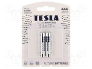 Battery: alkaline; AAA; 1.5V; non-rechargeable; Ø10.5x44.5mm TESLA BATTERIES