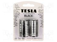 Battery: alkaline; C; 1.5V; non-rechargeable; Ø26.2x50mm; 2pcs. TESLA BATTERIES