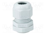 Cable gland; PG13,5; IP65; polyamide; light grey HENSEL