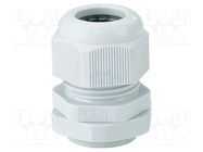 Cable gland; PG21; IP65; polyamide; light grey HENSEL