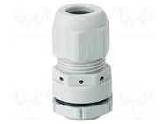 Cable gland; M20; 1.5; IP66,IP67; polyamide; light grey HENSEL