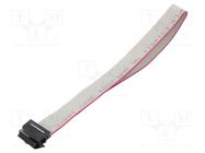 Ribbon cable with IDC connectors; Cable ph: 1mm; 0.3m; 12x28AWG CONNFLY