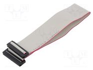 Ribbon cable with IDC connectors; Cable ph: 1mm; 0.3m; 34x28AWG CONNFLY