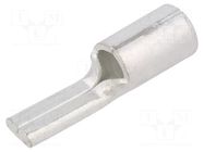 Tip: wire pin; 11mm; 70mm2; crimped; for cable; straight; tinned BM GROUP