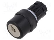 Switch: rotary with key; 22mm; Stabl.pos: 2; none; IP66,IP67,IP69K EAO