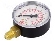 Manometer; 0÷10bar; G 1/4",bottom connection; 63mm; plastic PNEUMAT