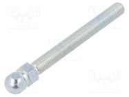 Pin; M10; Plunger mat: steel; Ø: 15mm; Plating: zinc; Spanner: 14mm 