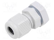 Cable gland; M12; 1.5; IP66,IP67; polyamide; light grey HENSEL