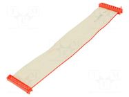 Ribbon cable with connectors; Tape ph: 1.27mm; PIN: 20; Len: 0.15m TE Connectivity