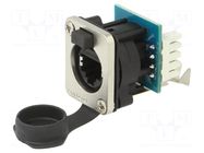 Straight; Type: shielded; Cat: 6; 8p8c AMPHENOL