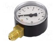 Manometer; 0÷10bar; G 1/4",bottom connection; 50mm; metal PNEUMAT