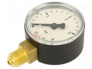 Manometer; 0÷4bar; G 1/4",bottom connection; 50mm; Temp: -20÷60°C PNEUMAT