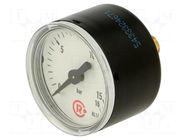 Manometer; 0÷16bar; G 1/8",rear connection; 40mm; Temp: -20÷60°C PNEUMAT