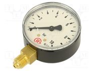 Manometer; 0÷10bar; 63mm; non-aggressive liquids,inert gases PNEUMAT