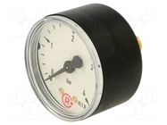 Manometer; 0÷4bar; G 1/4",rear connection; 50mm; Temp: -20÷60°C PNEUMAT