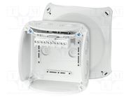 Enclosure: junction box; X: 130mm; Y: 130mm; Z: 77mm; IP66,IP67; grey HENSEL