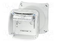 Enclosure: junction box; X: 130mm; Y: 130mm; Z: 77mm; IP66,IP67; grey HENSEL