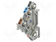 Splice terminal: rail; ways: 3; terminals: 4; grey; spring clamp WAGO