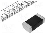 Varistor: multilayer; SMD; 2220; 25VAC; 31VDC; 9.6J; 1.2kA; 65V; 20mW EPCOS