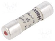 Fuse: fuse; gG,time-lag; 10A; 500VAC; 250VDC; 10x38mm MERSEN