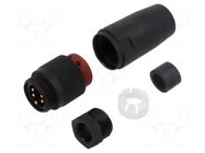 Connector: 7/8"; plug; male; PIN: 5; straight; 9A; 240V; IP67; 8÷10mm LUMBERG AUTOMATION
