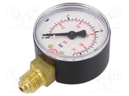 Manometer; 16bar; 50mm; non-aggressive liquids,inert gases PNEUMAT